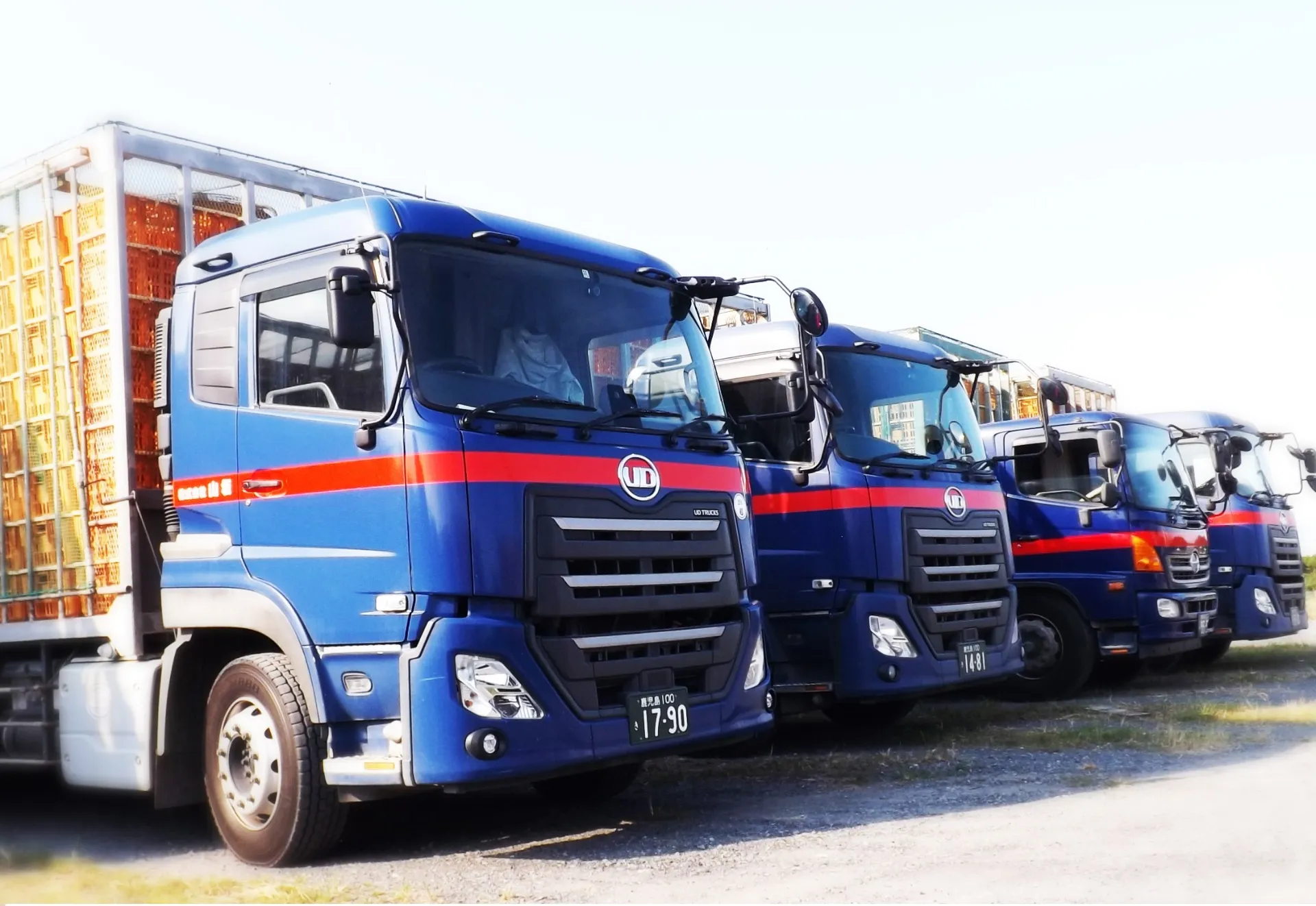 運送ドライバー (株式会社山坂 野方営業所)