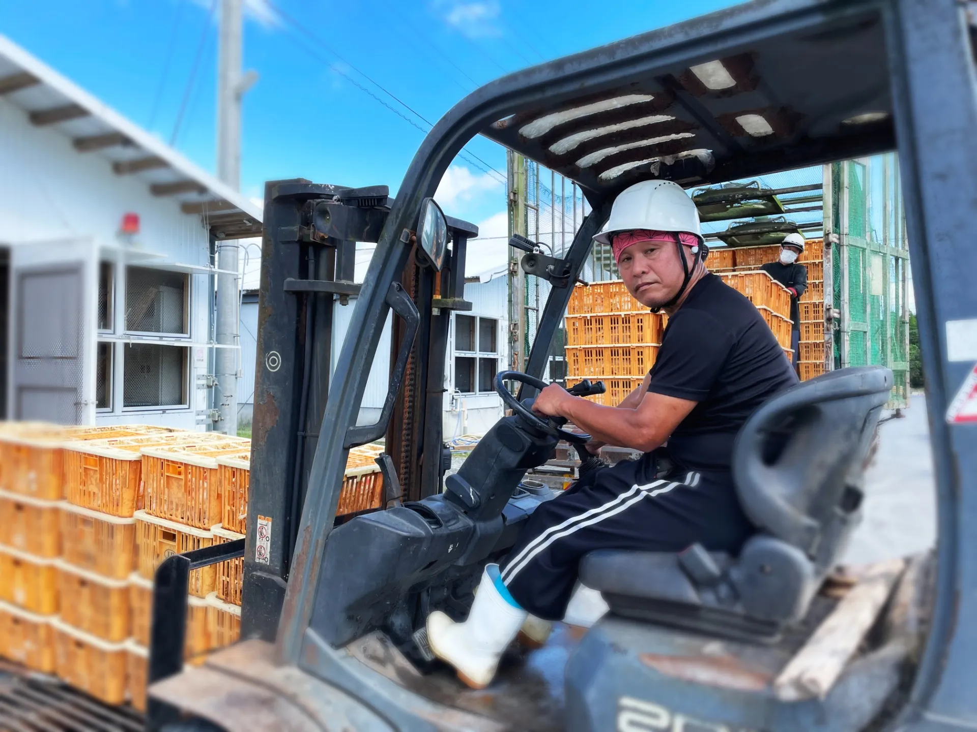 ブロイラーの出荷作業員 (株式会社山坂 野方営業所)